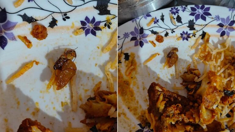 Hyderabad Resident Finds Cockroach In Zomato-Ordered Biryani. Reddit Reacts