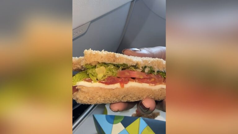Passenger Finds Worm In Sandwich Served By IndiGo, Airline Issues Apology Statement
