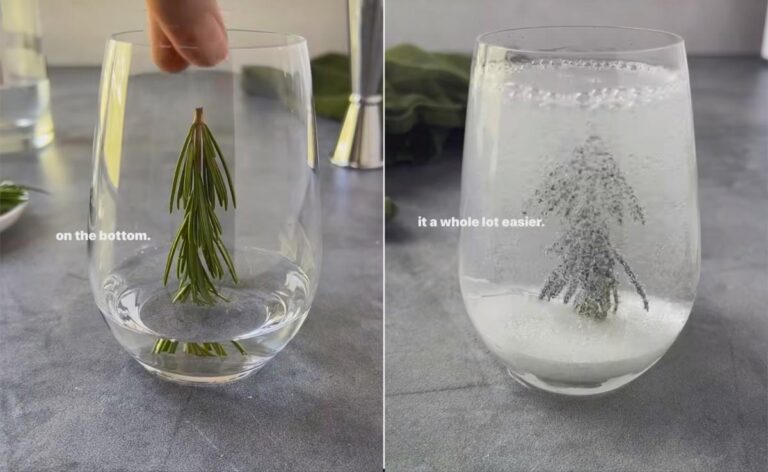 Viral Now: Snow Globe Cocktail Wows Internet – How To Make It At Home