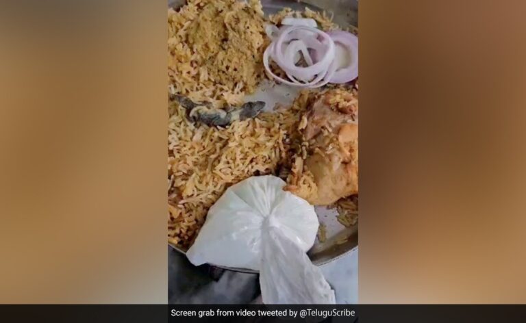 Hyderabad Man Orders Biryani, Finds Dead Lizard In It. Video Goes Viral
