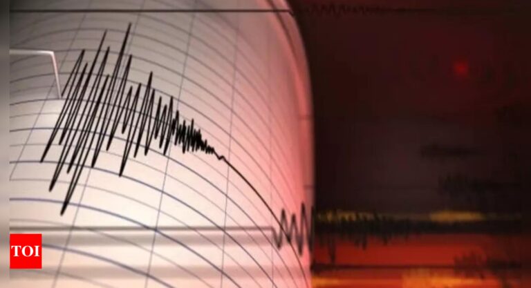 Earthquake tremors felt in Delhi-NCR, neighbouring areas | India News – Times of India