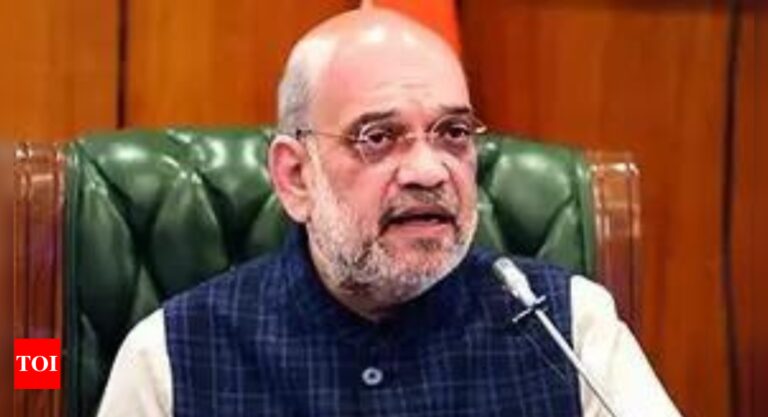 J&K terror decline since Article 370 abrogation: Amit Shah | India News – Times of India