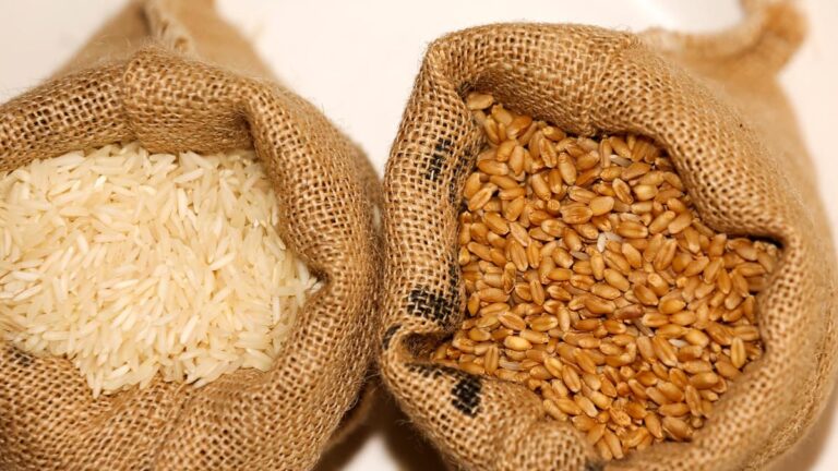 Alarming Study Reveals Shocking Truths About Indian Rice And Wheat – Are You At Risk?