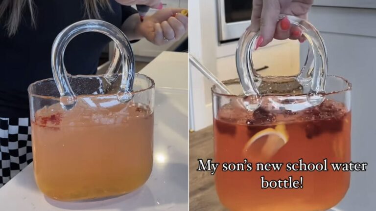 Woman Gets Unique Purse-Shaped Water Bottle For Her Son, Internet Reacts