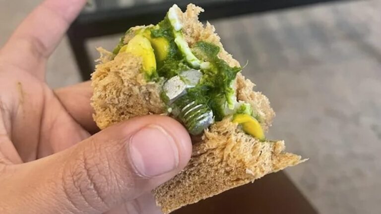 Passenger Claims They Found A Screw In Sandwich Given On IndiGo Flight