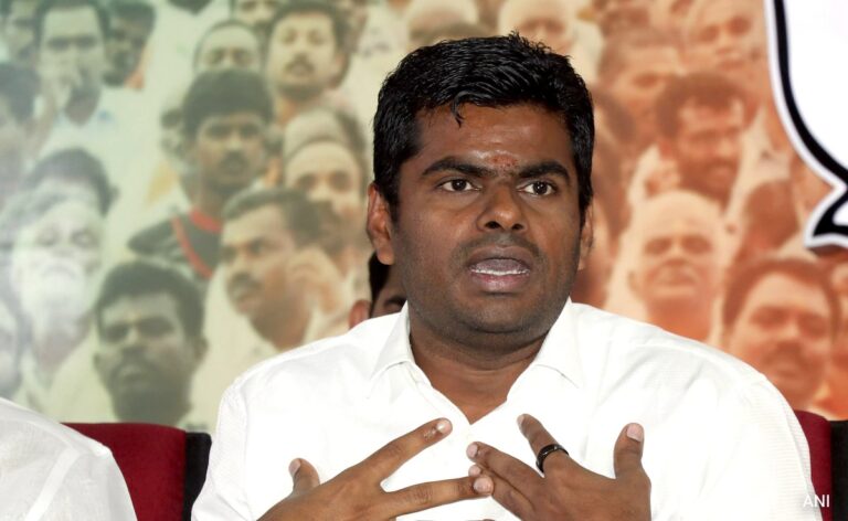Stay On Proceedings Against Tamil Nadu BJP Chief In Hate Speech Case