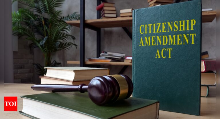 CAA Rules: Empowered panel to review citizenship applications | India News – Times of India