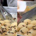 Viral Video Shows Vendor Selling Rasgullas With Bees Hovering Around Them