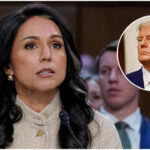 Iran: US intelligence chief says Iran not rebuilding nuclear programme, undercutting Donald Trump’s war rationale – The Times of India