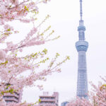 Asia-Pacific markets rise in Easter trade on hopes for Hormuz reopening