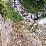 Army officer dies after falling into gorge during anti-terror operation in J&K's Rajouri