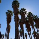 Dangerous heatwave to grip US during July 4 weekend, World Cup knockout stage