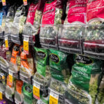 Taylor Farms recalls iceberg lettuce in 27 states due to cyclosporiasis outbreak