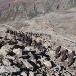 Kargil War: How July 14 turned the tide and put Pakistan on back foot during Operation Vijay