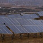 Two solar farms in Minnesota restored native wildflowers and proved beneficial for bees, butterflies proving to scientists what everyone got wrong