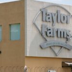 Taylor Farms recalls salsa, guacamole on salmonella outbreak, intensifying food-safety fears