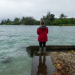 Hawaii's Big Island lashed by rain and wind as Tropical Storm Lala closes in