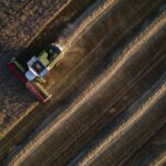 'Perfect storm' brews for global food supply this winter as grain prices soar
