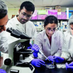 No conflict of interest in RDI Fund, says government