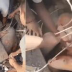 'Heard a whisper': Baby rescued from rubble 48 hours after Colombia earthquake – video