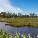 In 2015, a storm flooded and destroyed a Virginia wildlife refuge beach parking lot; now officials are moving it 2.5 miles north so dunes and saltmarsh can reclaim the old site
