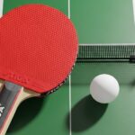 Table Tennis Federation of India urges Sports Ministry to reconsider suspension