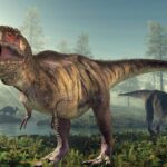 66.5 million years ago, a T. rex crossed North America; fossil footprints now show the giant dinosaur walked, not ran