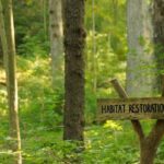An anonymous donor gave Cincinnati $1.8 million to restore 228 acres of forest; the 5-year project is the city's biggest park reforestation effort in nearly 100 years