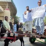 'Can't afford petrol': Pakistan PTI lawmakers ride donkey carts to assembly in protest