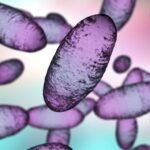 Russian lab worker dies amid plague reports — here’s what we know
