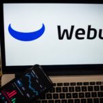 Trading platform Webull's China ties create national security risk, congressional panel finds