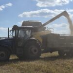 The world needs Ukraine’s grain. Its farmers are running out of reasons to plant