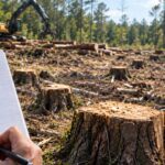In 2022, loggers working for neighbours crossed onto a Mississippi couple's land and cut 1,299 trees; their handwritten tally helped secure a $41,920 award later upheld on appeal