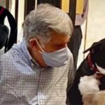 Ratan Tata’s beloved pet dog 'Goa' survives car accident outside Bombay House