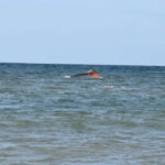 'Started to sink backwards': 139 migrants, including 15 children, killed as boat capsizes off Djibouti