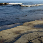 UAE's Ras Al-Khaimah shuts all beaches; oil spill triggers closures across coastline